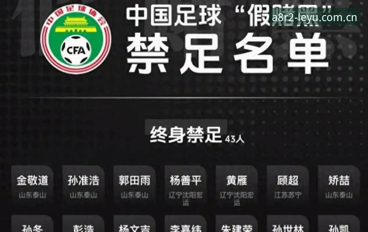 资深用户分享：足坛反腐风暴持续升级，第三批禁足名单深度解析